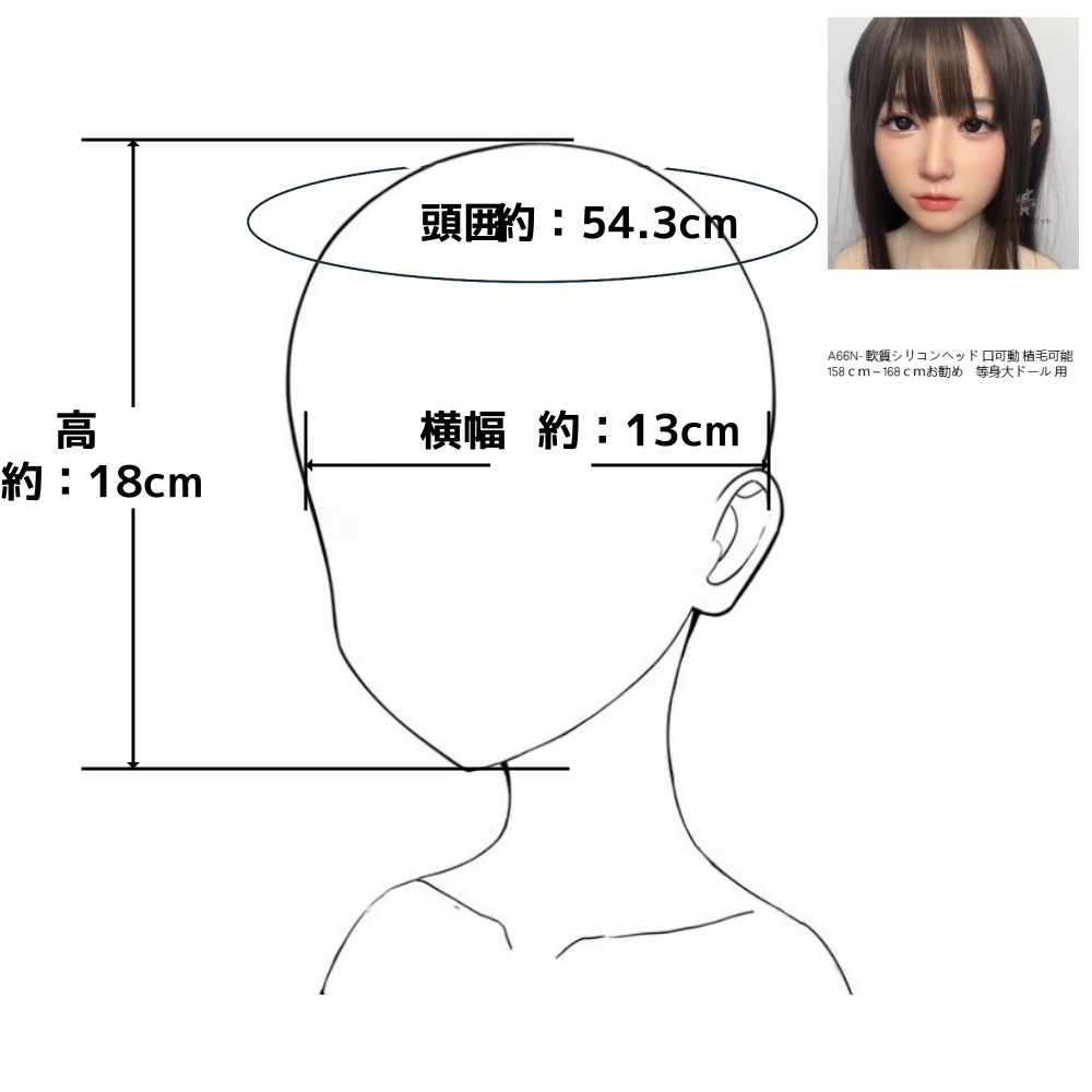 A66N- 軟質シリコンヘッド 口可動  植毛可能 158ｃｍ～168ｃｍお勧め　等身大ドール 用 ラブドール