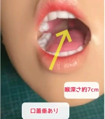 喉深さ約7cm 喉口蓋垂あり