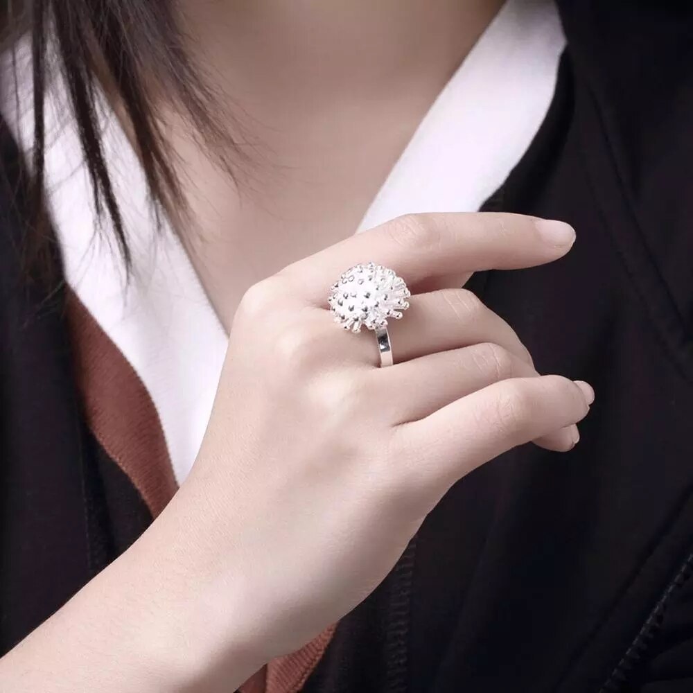 925 Stamp Silver color Fireworks Pendant necklace earring bangles bracelet rings Jewelry set for women Hot charm Fashion Party