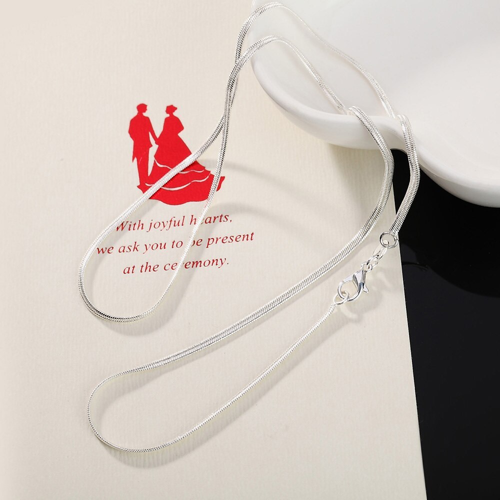 Special offer new 925 Stamp Silver color 16/18/20/22/24/26/28/30 Inches 2MM Flat snake bone chain Necklace Women Men Jewelry