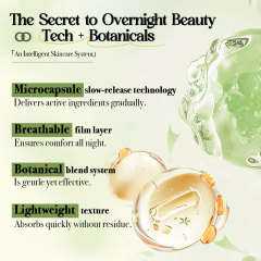 OEM Wholesale Popular Leave in Mask Selaginella Tamariscina Face Refreshing Skin Care Lightening Beauty Sleep Facial Face Masks