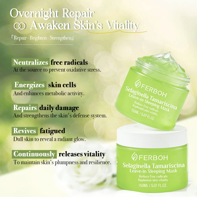 OEM Wholesale Popular Leave in Mask Selaginella Tamariscina Face Refreshing Skin Care Lightening Beauty Sleep Facial Face Masks