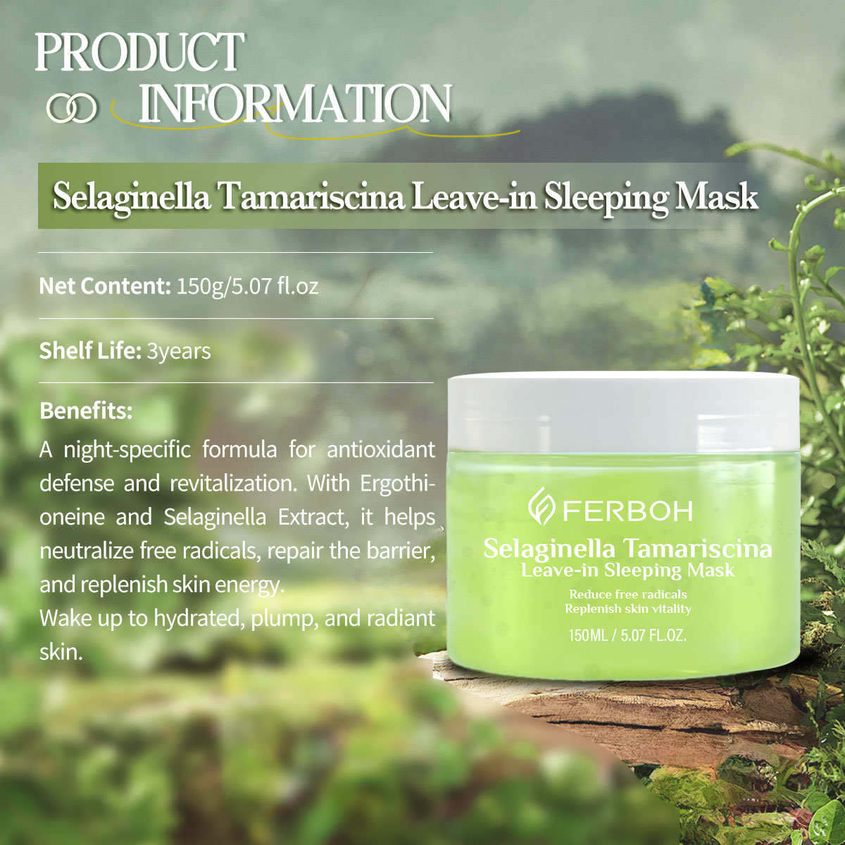 OEM Wholesale Popular Leave in Mask Selaginella Tamariscina Face Refreshing Skin Care Lightening Beauty Sleep Facial Face Masks