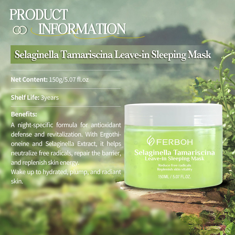 OEM Wholesale Popular Leave in Mask Selaginella Tamariscina Face Refreshing Skin Care Lightening Beauty Sleep Facial Face Masks