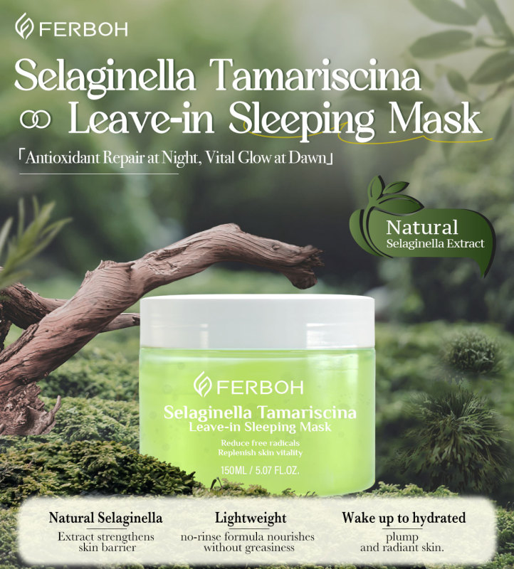 OEM Wholesale Popular Leave in Mask Selaginella Tamariscina Face Refreshing Skin Care Lightening Beauty Sleep Facial Face Masks