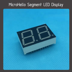 10pcs 0.8" 2 digit static state 18-pin segment led display Red/Blue