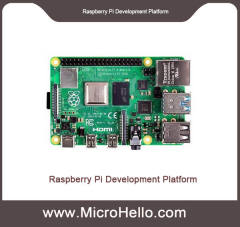 Raspberry Pi Development Platform