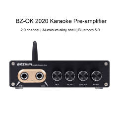 BZ-OK 2020 Karaoke pre-amplifier high-fidelity reverberation Bluetooth 5.0 karaoke audio processor 2.0 channel