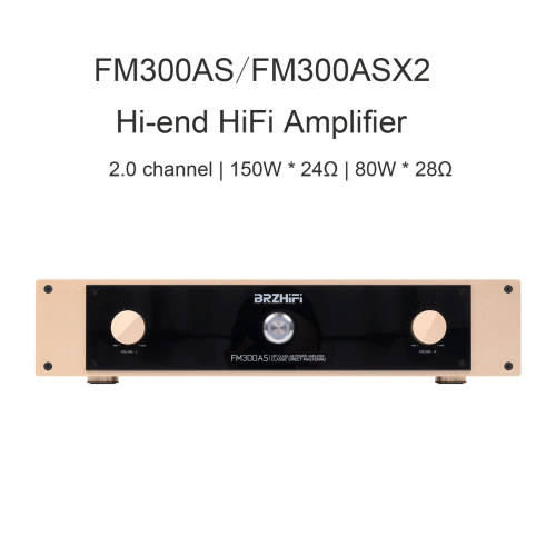 FM300AS high-power amplifier FM300ASX2 Hi-end hifi class AB rear-stage audio amplifier Swiss FM circuit FM300A