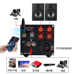 300WX2 high-power amplifier HIFI TPA3255 Bluetooth 5.0 high-power vertical digital amplifier, professional hi-end