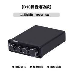 B10 High-power amplifier 100W HIFI HI-END audio professional subwoofer Class D digital power amplifier