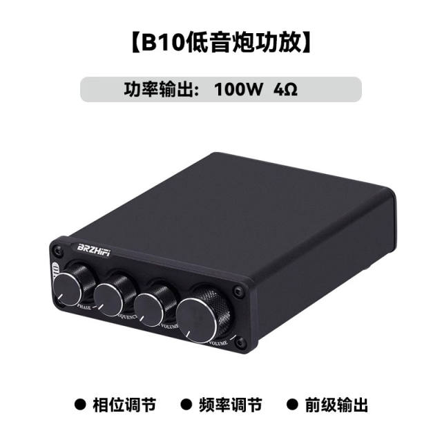 B10 High-power amplifier 100W HIFI HI-END audio professional subwoofer Class D digital power amplifier