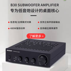 B10 High-power amplifier 100W HIFI HI-END audio professional subwoofer Class D digital power amplifier