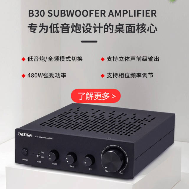 B10 High-power amplifier 100W HIFI HI-END audio professional subwoofer Class D digital power amplifier
