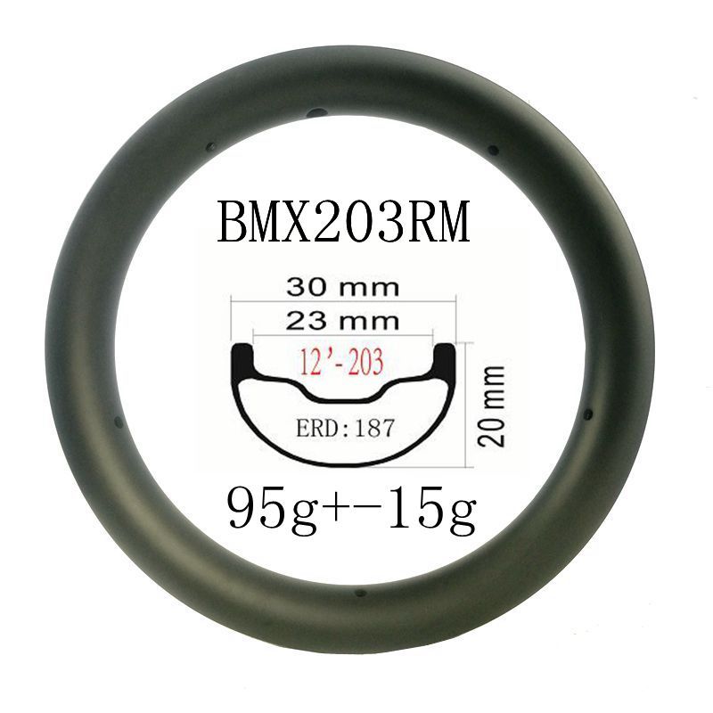 [BMX203RM] 12 Inch 203 Carbon Rim Balance Folding Bike Fiber Carbon Rims