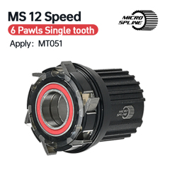 6 Pawls Single Tooth 12s，