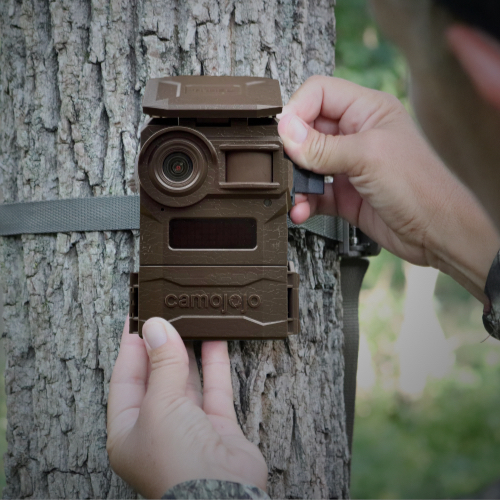 Best Trail Cameras Under $100