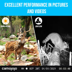 Camojojo Best Live Stream Cellular Trail Camera with HD Instant Video Delivery, 0.2s Fast Trigger, Build-in SD&SIM Card