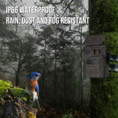 Camojojo Trace LTE Trail Camera-2 pack