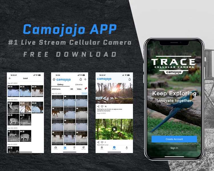 Camojojo Trace the Best Video Sending Cellular Trail Camera