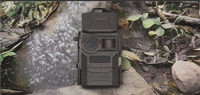 3 Kinds of Wildlife Cameras for Backyard
