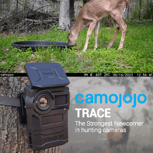 deer camera that connects to phone