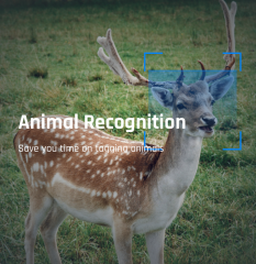 Camojojo Wireless Trail Camera For Hunting