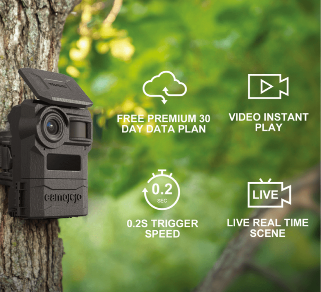 Camojojo Wireless Trail Camera For Hunting