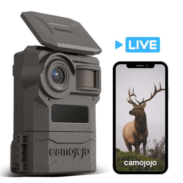Camojojo Game Camera for Security, Live Stream, Video Free