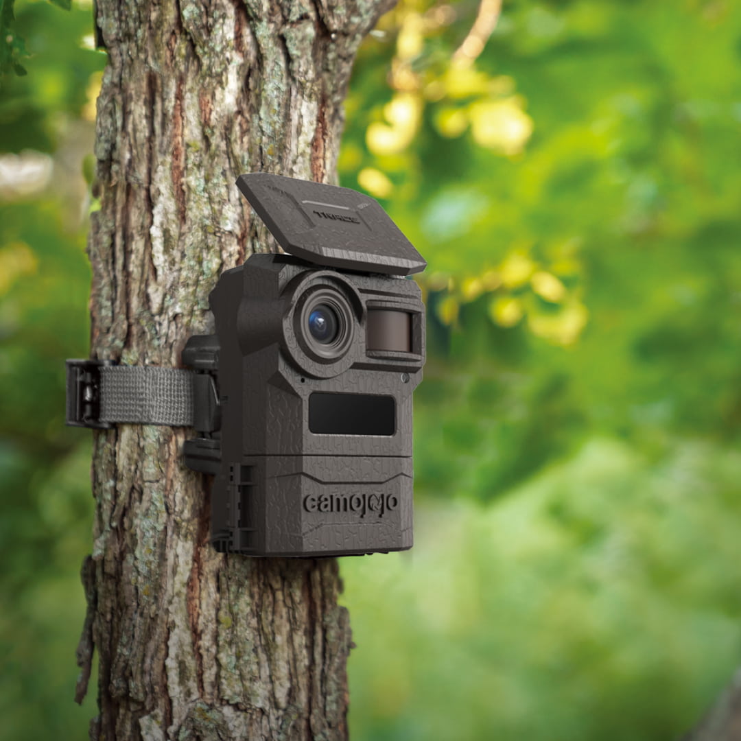 Video store trail camera