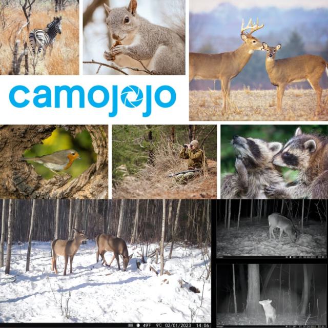 Camojojo Best Live Stream Cellular Trail Camera with HD Instant Video Delivery, 0.2s Fast Trigger, Build-in SD&SIM Card