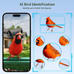 Elevate BirdWatching Experience with Camojojo HiBird Smart Bird Feeder