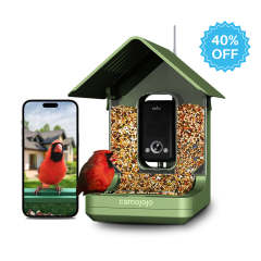Elevate BirdWatching Experience with Camojojo HiBird Smart Bird Feeder
