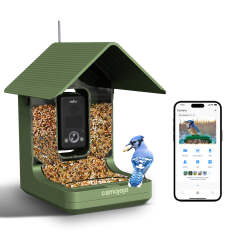 Elevate BirdWatching Experience with Camojojo HiBird Smart Bird Feeder