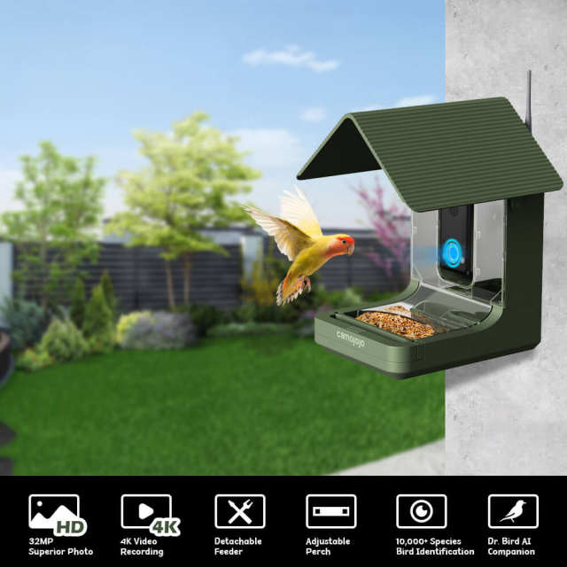 Elevate BirdWatching Experience with Camojojo HiBird Smart Bird Feeder