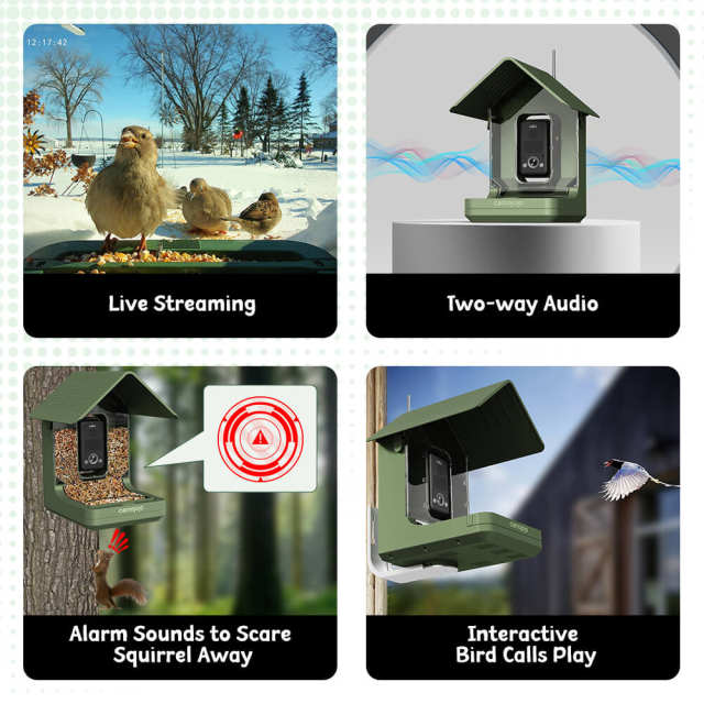 Elevate BirdWatching Experience with Camojojo HiBird Smart Bird Feeder