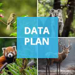Camojojo Data Plan for Trail Camera