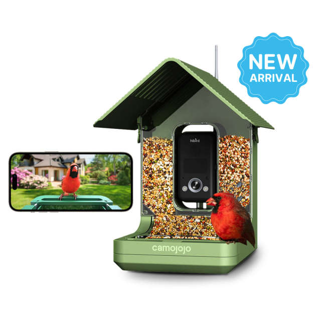 Camojojo Hibird: Smart Bird Feeder with Camera, Delivering 32MP Photos & 4K Videos