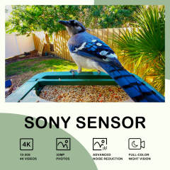 4K Birdhouse Camera with Night Vision & Wireless Streaming