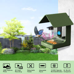 Camojojo HiBird Video Bird Feeder