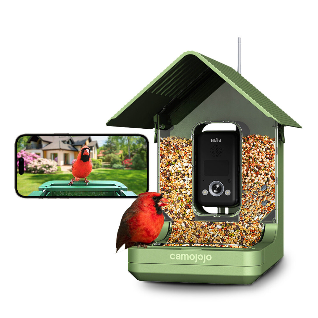 4K Birdhouse Camera with Night Vision & Wireless Streaming