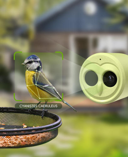 Camojojo Hibird 4K HD Smart Bird Feeder Camera Solar Powered, 2.4G/5G Dual WiFi Wireless Outdoor, 6X Slow Motion Auto Bird Video Capture, Instant Notifications, AI Identify 10000+ Species for Everyone