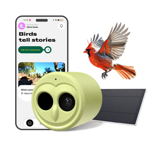 Camojojo Hibird 4K HD Smart Bird Feeder Camera Solar Powered, 2.4G/5G Dual WiFi Wireless Outdoor, 6X Slow Motion Auto Bird Video Capture, Instant Notifications, AI Identify 10000+ Species for Everyone