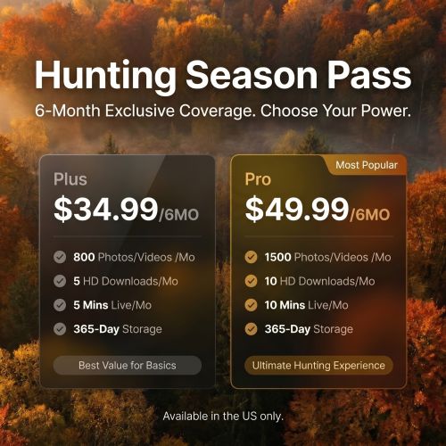 Seasonal Package