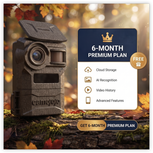 R7 Trail Camera + 6-Month Premium Plan