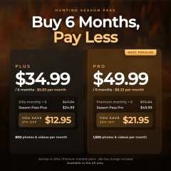 Seasonal Package