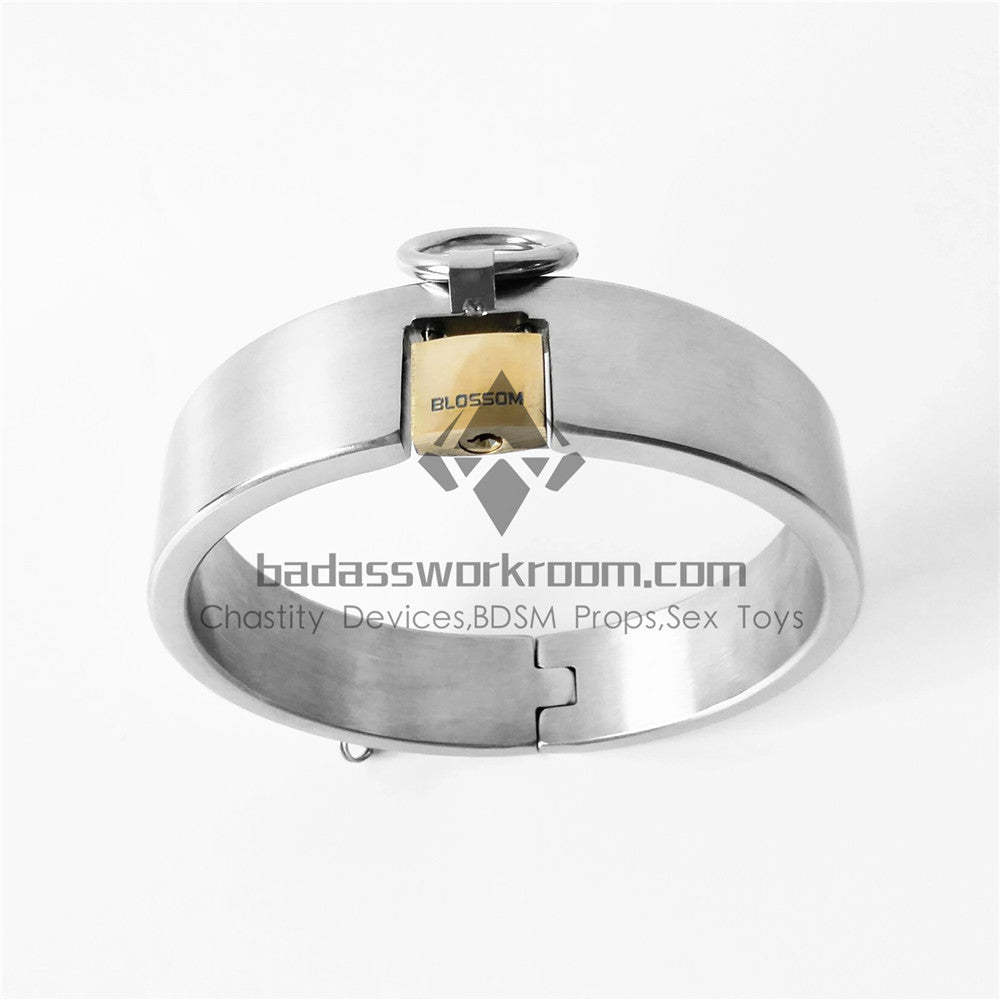 Integrated Padlock Steel BDSM Collar 3CM Height