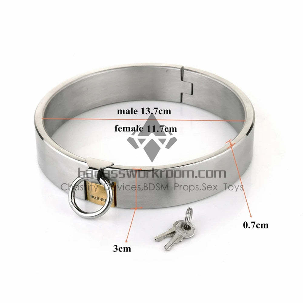 Integrated Padlock Steel BDSM Collar 3CM Height
