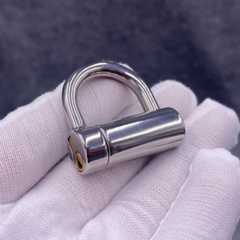 Custom Prince Albert D Ring PA Lock