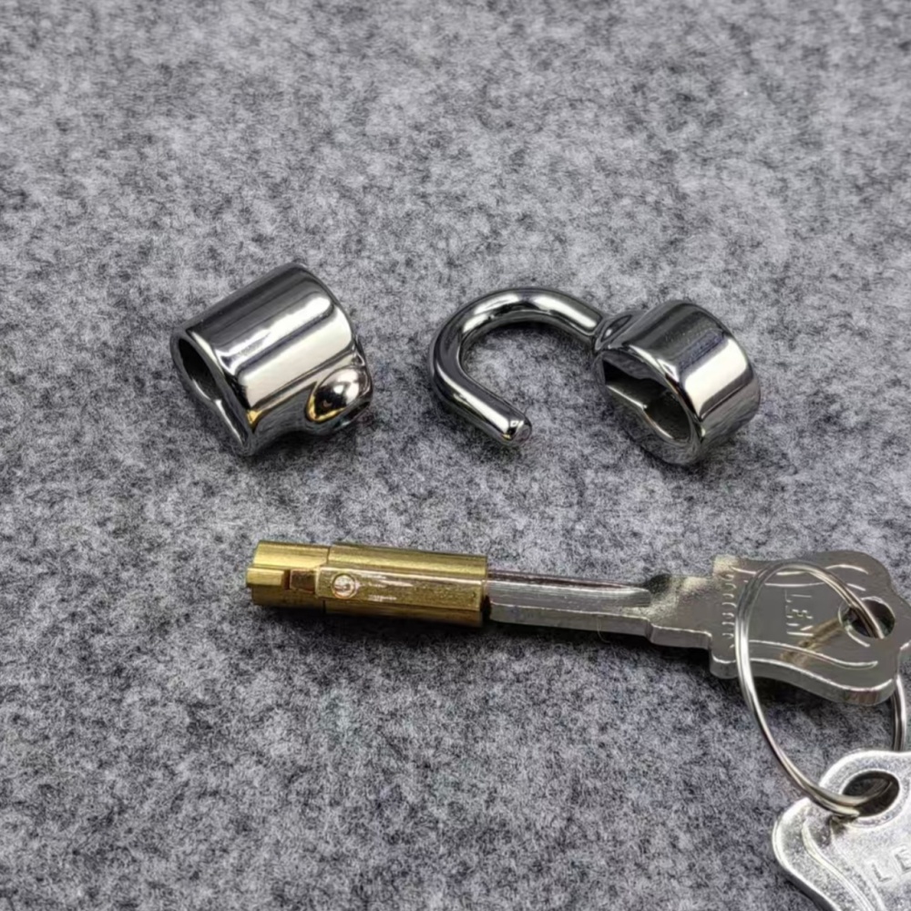 Small Size PA D Ring Lock